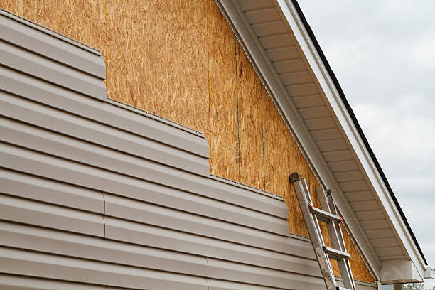 Professional Vinyl Siding technician working in Hutto, TX